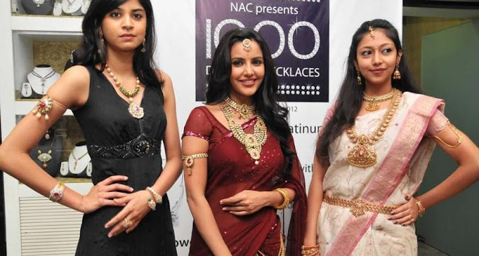 priya anand in saree at nac ewellers for 1000 diamond necklaces festival event- hot photoshoot